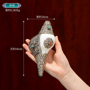 หอยสังข์อินเดียสีขาวแต่งเครื่องเงินทิเบต สำหรับใช้ในพิธีกรรมทางศาสนา ขนาด 18 cm.