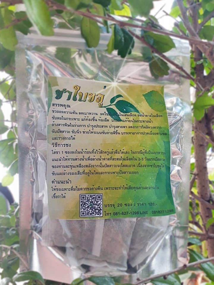 รวม มี3 รายการ ชามะระขี้นกป่า & ชาเห็ดหลินจือ & สมุนไพร ชาใบขลู่