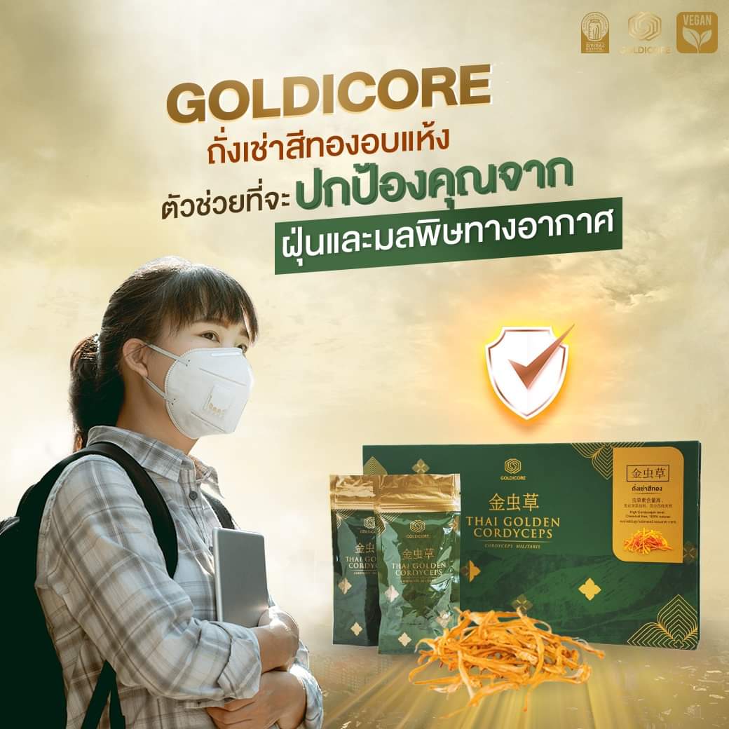 ถั่งเช่าสีทอง goldicore บำรุงสุขภาพ ถั่งเช่า