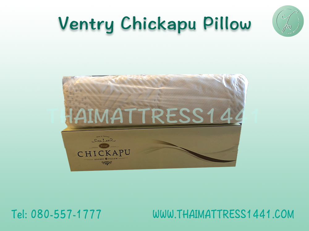 หมอนยางพารา Ventry Chickapu Pillow