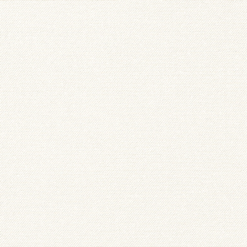 Bestie 2025 - BW Collection ลายมินิมอล