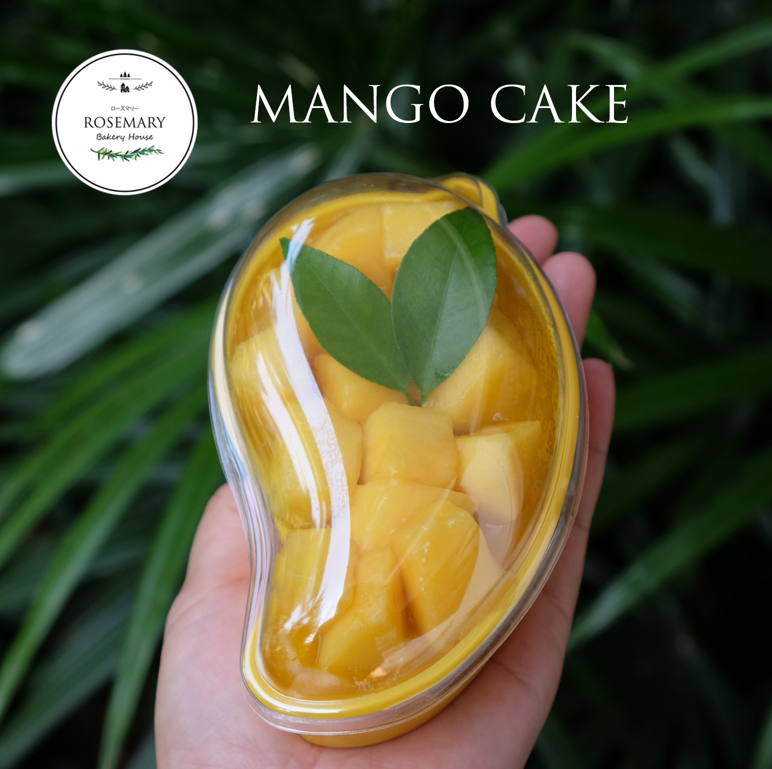 🥭🥭เค้กลูกมะม่วง Mango Cake 🥭🥭 (สั่ง 2 กล่อง ถูกกว่า)