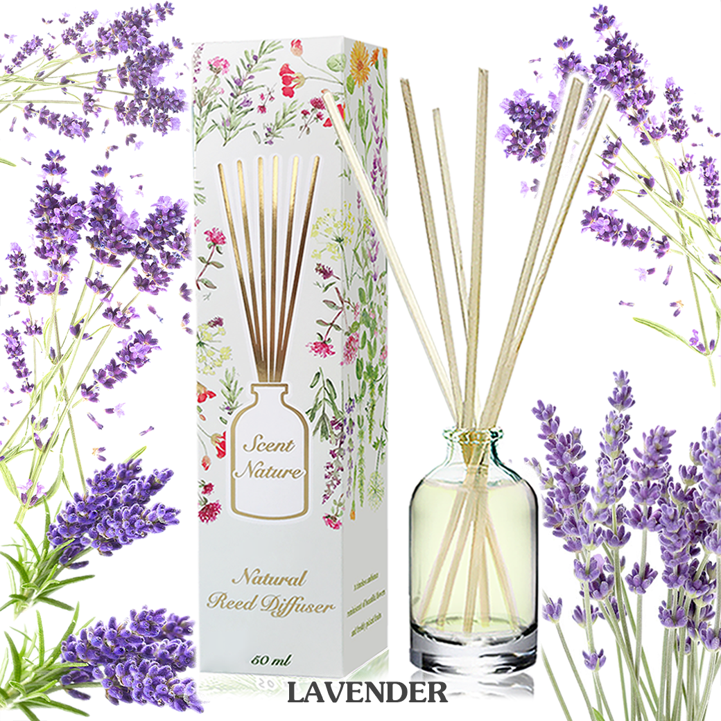 LAVENDER ดอกลาเวนเดอร์