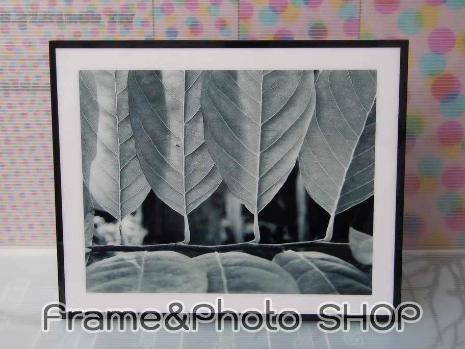 กรอบลอย 10x12 in No.03