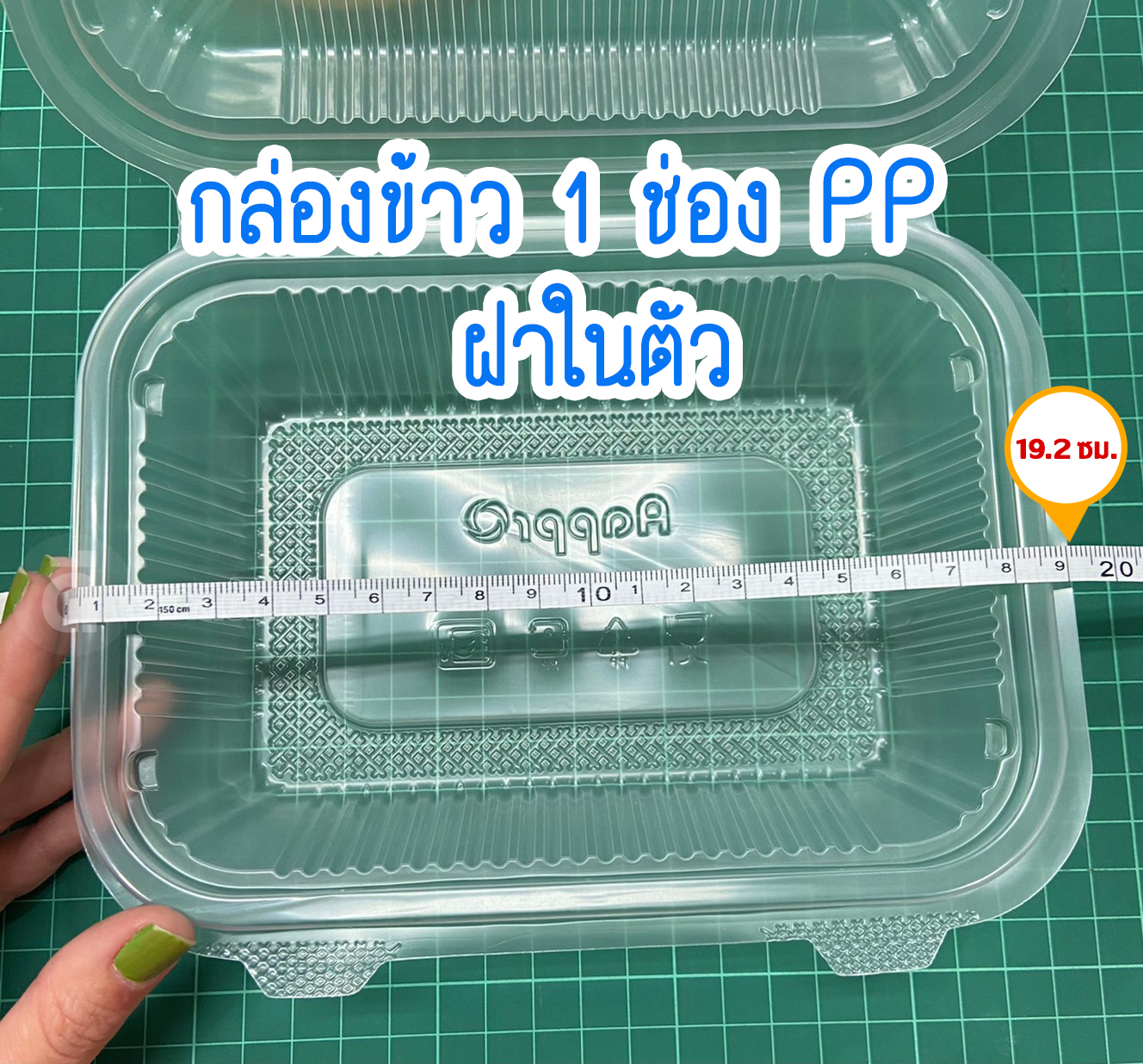 กล่องข้าว PP ฝาติด