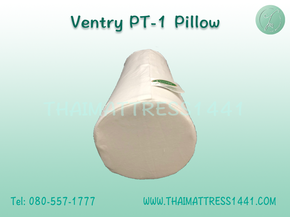 หมอนยางพารา รองคอ Ventry PT1