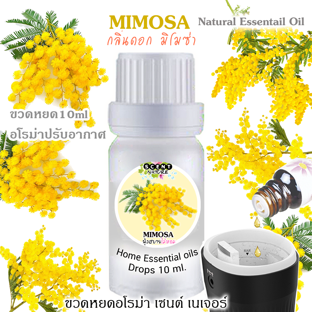 ขวดหยดน้ำมันหอมระเหย 10ml กลิ่น ดอก MIMOSA