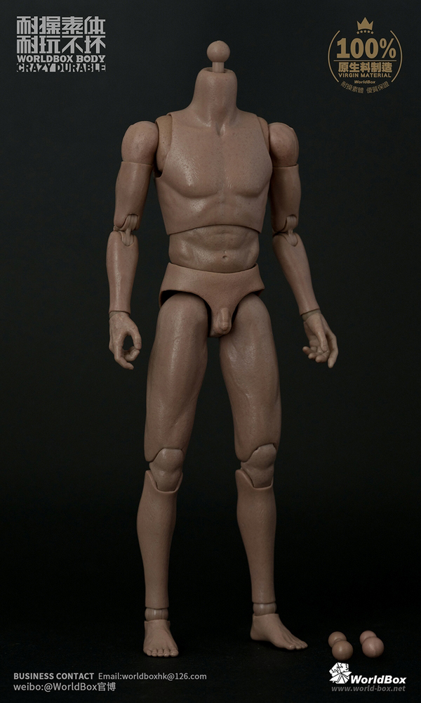 WorldBox AT011 Body 2017 Ver.