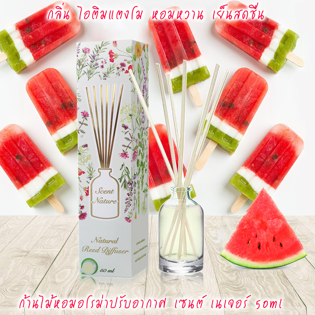 WATERMELON ICE POP ไอติมแตงโม