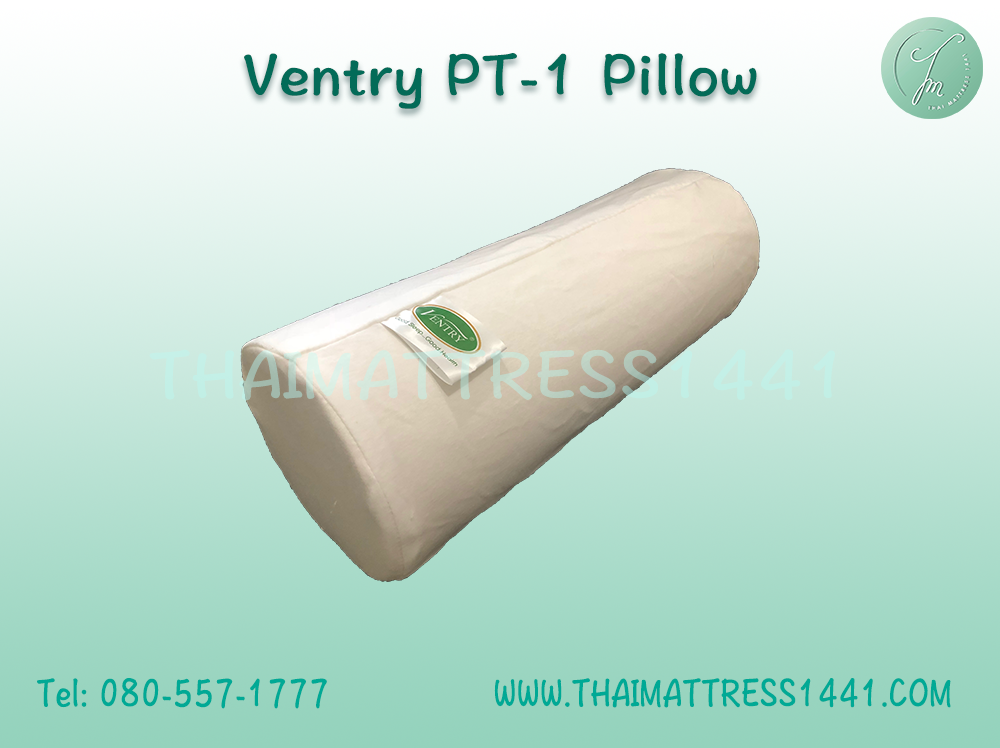 หมอนยางพารา รองคอ Ventry PT1