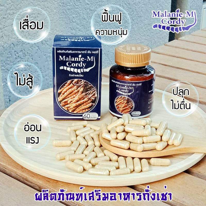 malanic - m cordy m คอร์ดี้เอ็ม ถั่งเช่าสกัด