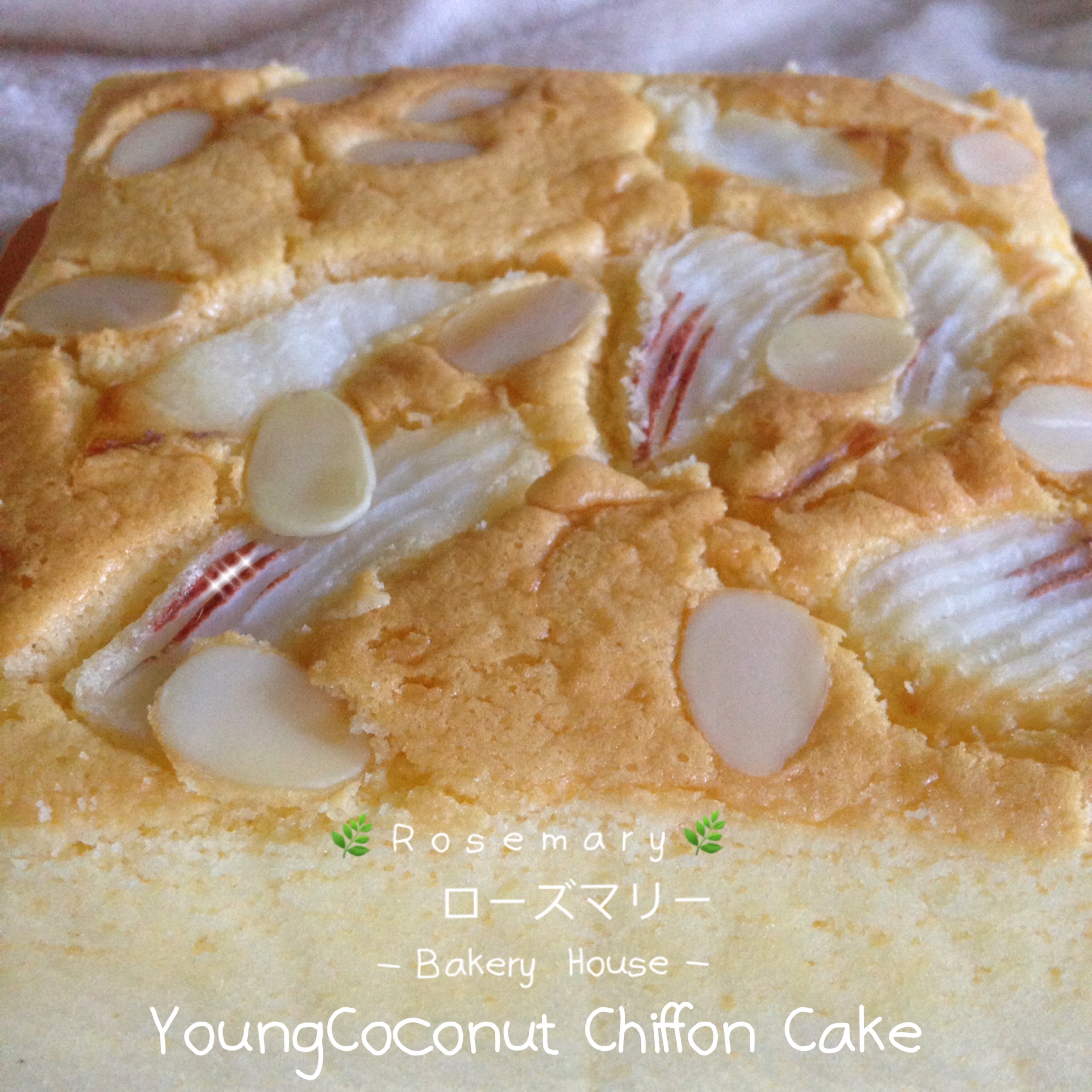 เค้กชิฟฟ่อนอัลมอนด์มะพร้าวอ่อน (2 ปอนด์) Young Coconut & Almond Chiffon Cake ( 2 Pound / 7" X 7")