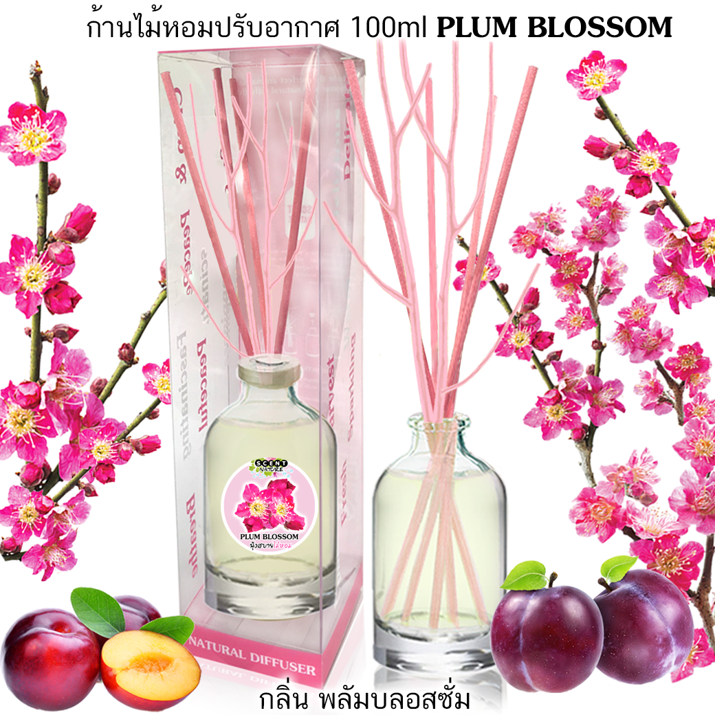 ก้านไม้หอม 100ml กลิ่น พลัมบลอสซั่ม