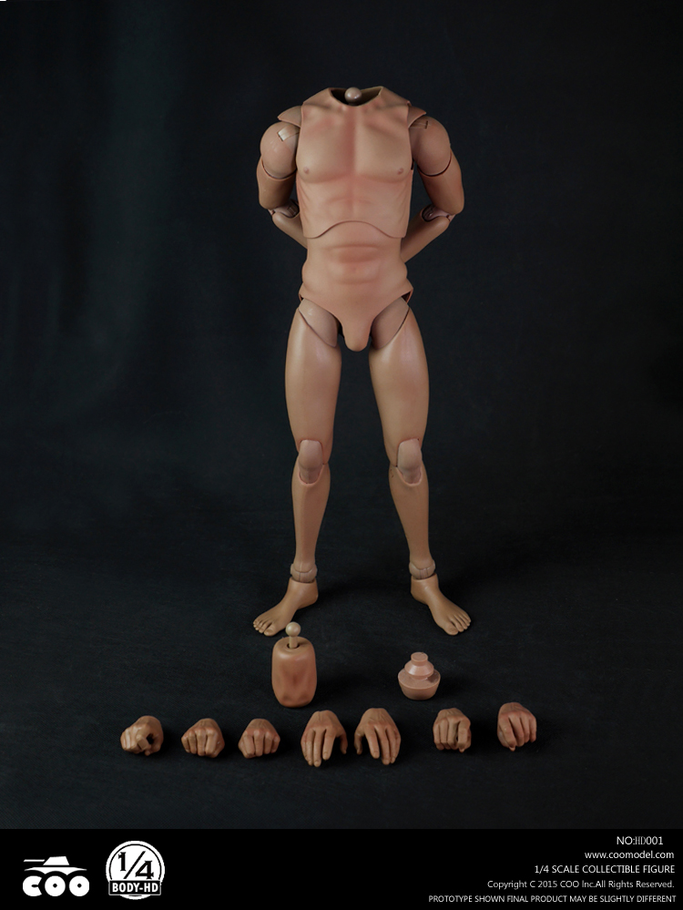 COOMODEL HD001 1/4 BODY