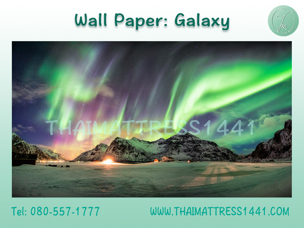 วอลเปปอร์ภาพพิมพ์ Digital Printing Wall Paper