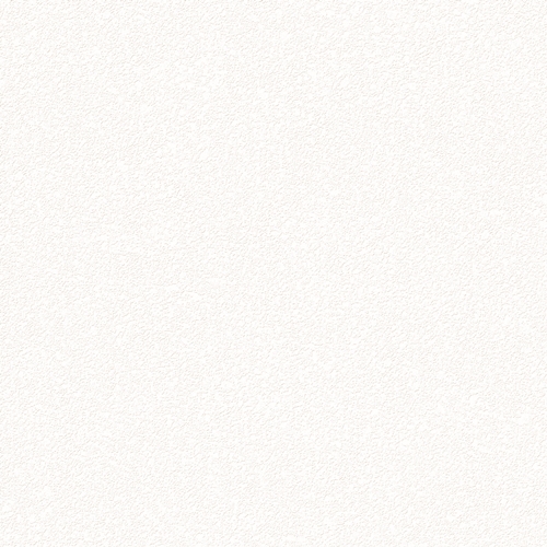 Bestie 2025 - BW Collection ลายมินิมอล