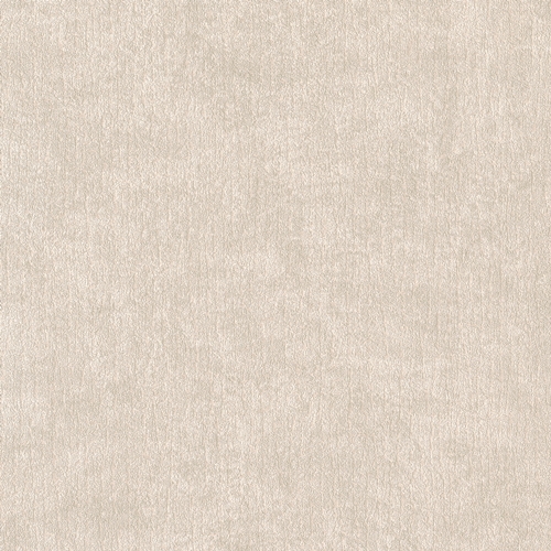 Bestie 2025 - BW Collection ลายมินิมอล