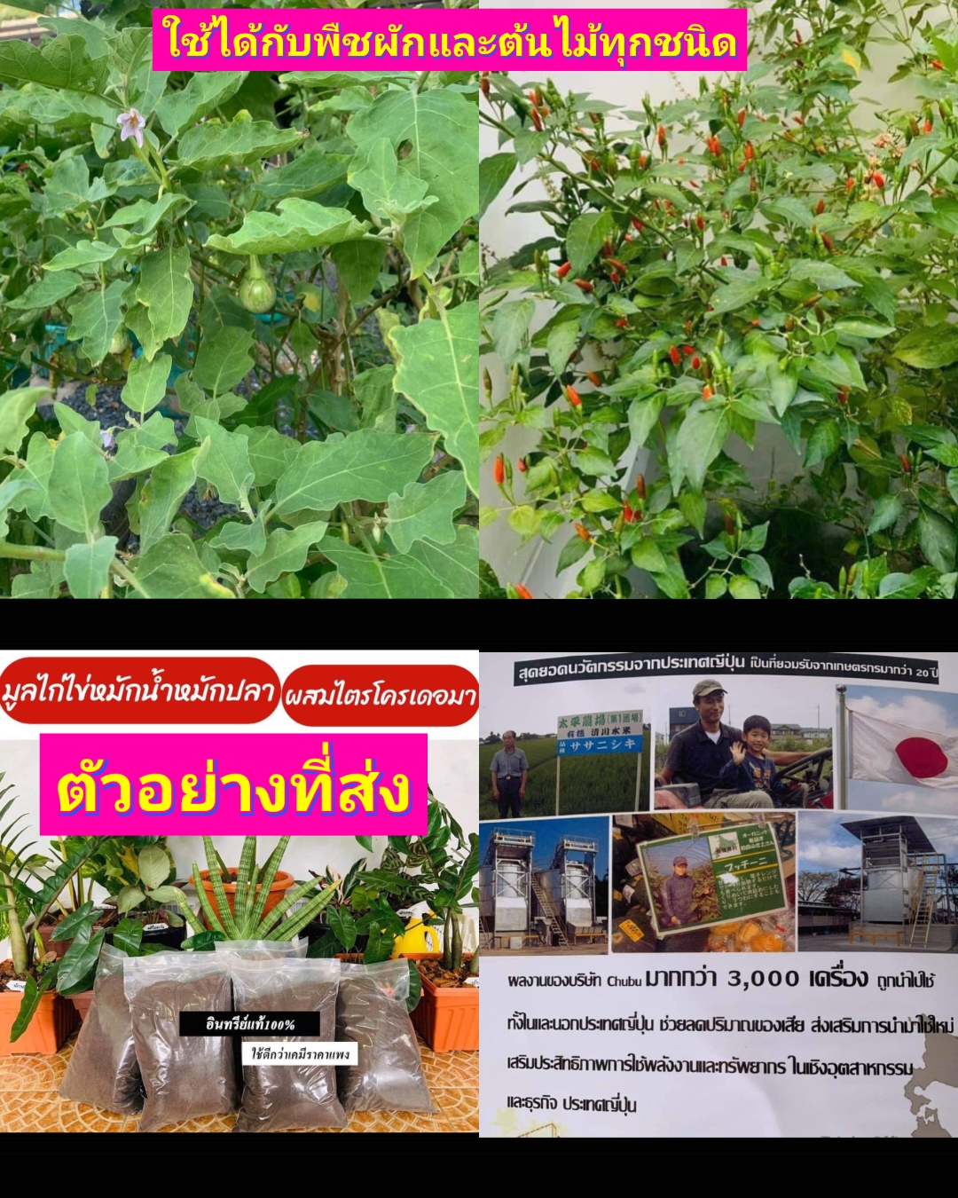 ปุ๋ยหมัก ธรรมชาติ ปุ๋ยอินทรีย์ organic 100% ปุ๋ย ตรา ชูบุ ชูสิน ฟาร์ม