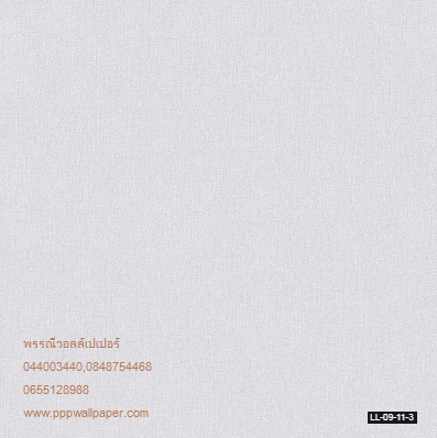 วอลล์เปเปอร์ติดผนังสไตล์โมเดิร์น