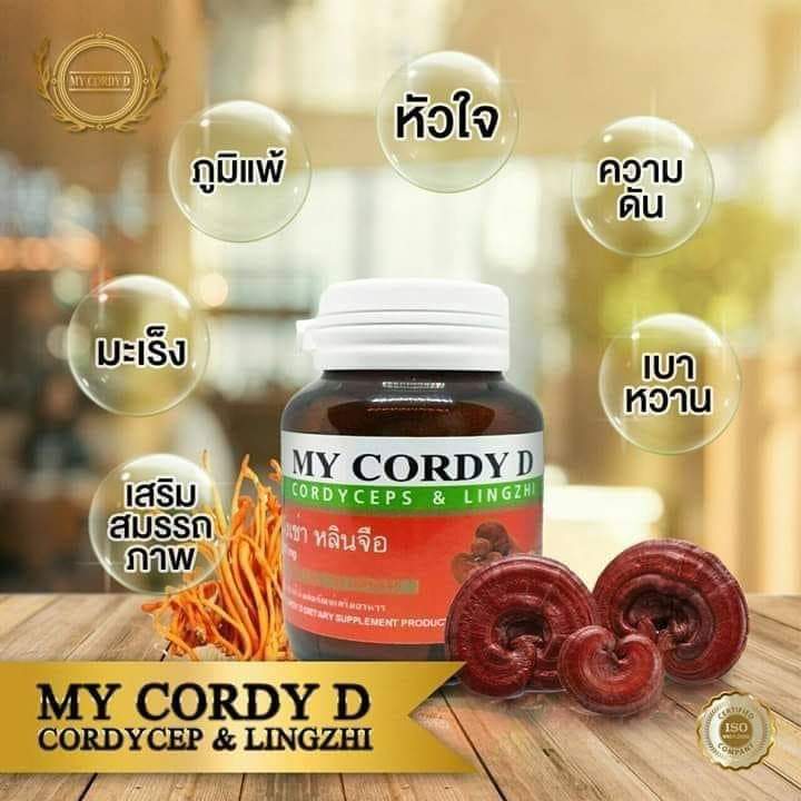 เห็ดหลินจือ สกัด ผสม ถั่งเช่า my cordy d มายคอร์ดี้ดี