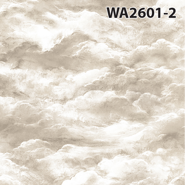 ลายก้อนเมฆ 2601-2