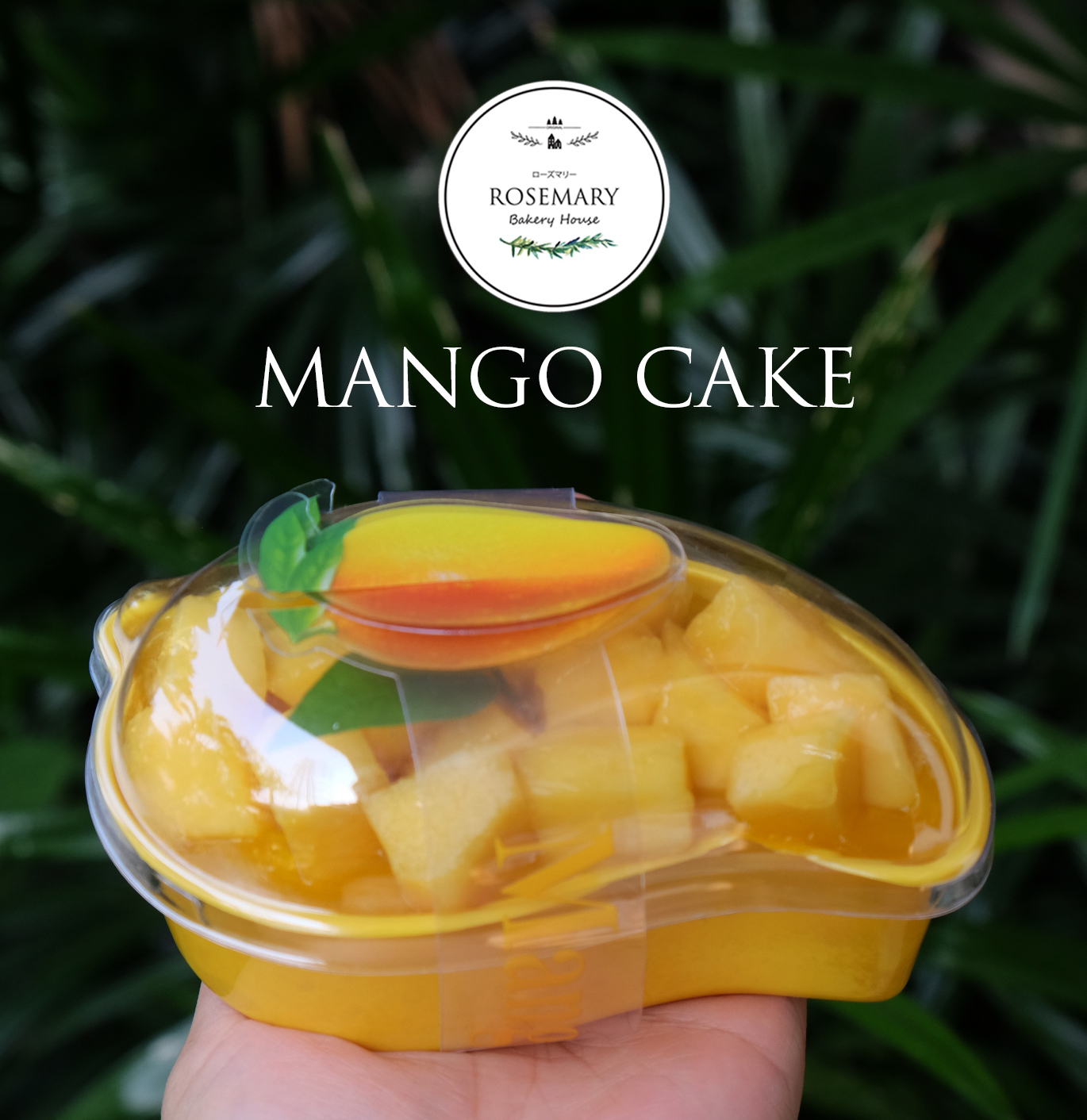 🥭🥭เค้กลูกมะม่วง Mango Cake 🥭🥭 (สั่ง 2 กล่อง ถูกกว่า)
