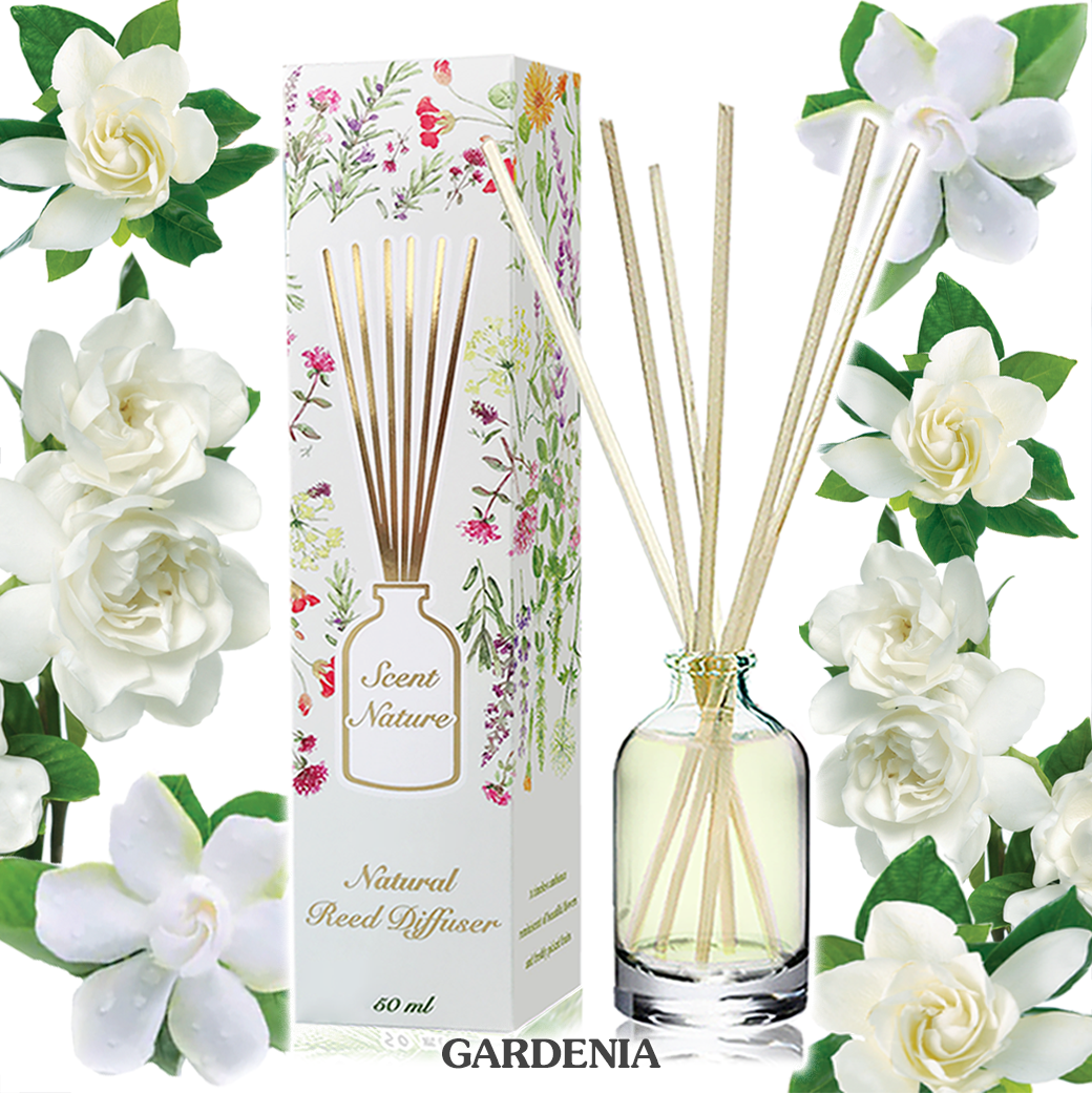 GARDENIA ดอกการ์ดิเนีย