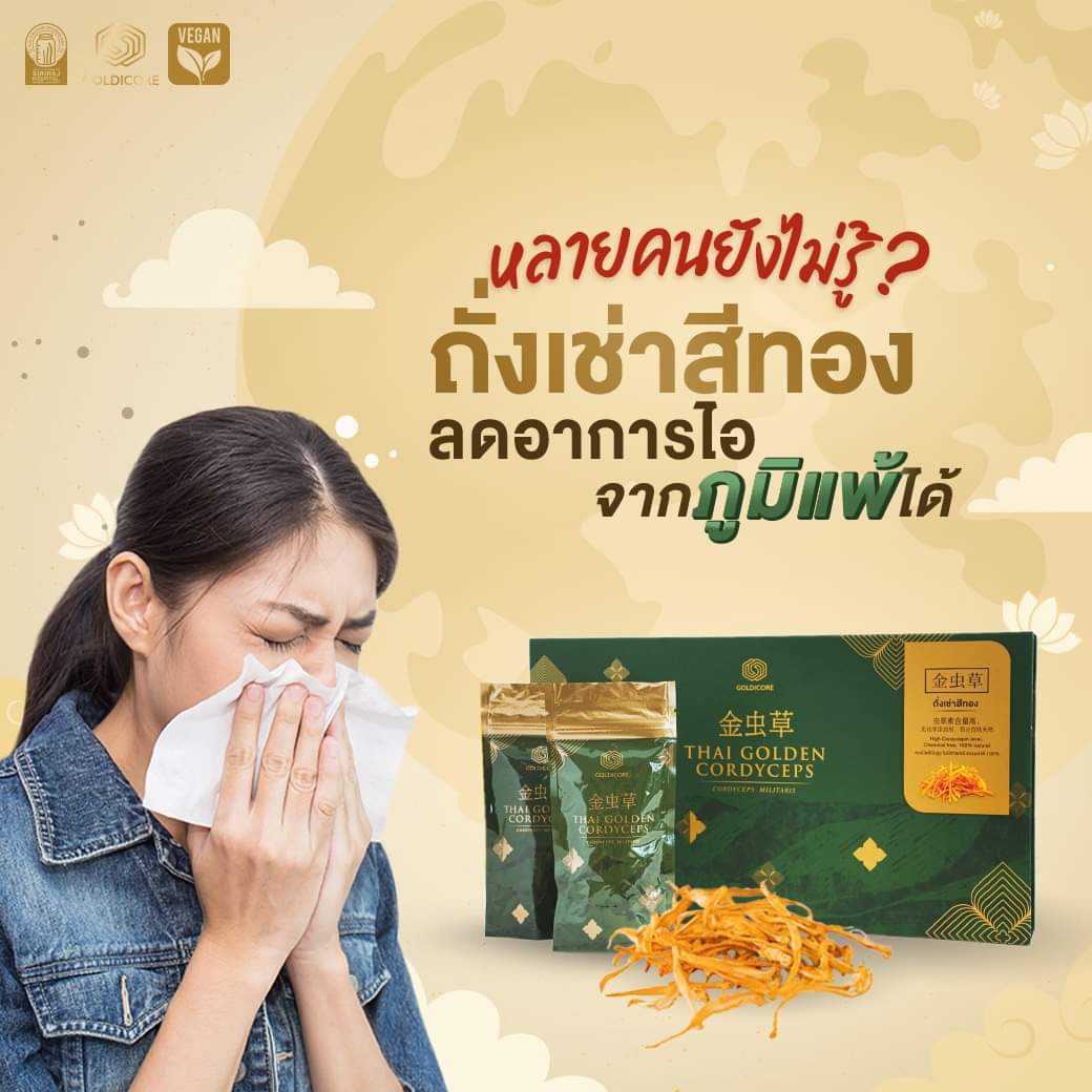ถั่งเช่าสีทอง goldicore บำรุงสุขภาพ ถั่งเช่า