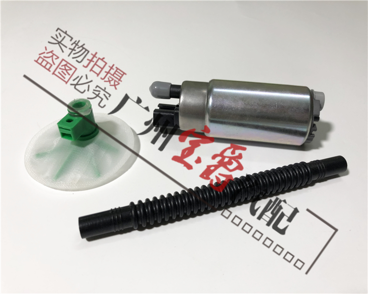 Gasoline Pump Core BMW F30-56-4