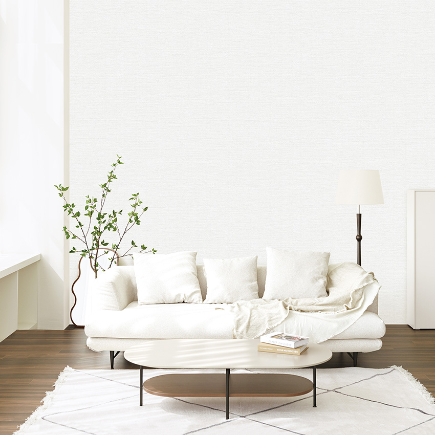 BASIC+ LIMITED Collection