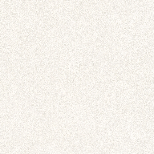 Bestie 2025 - BW Collection ลายมินิมอล