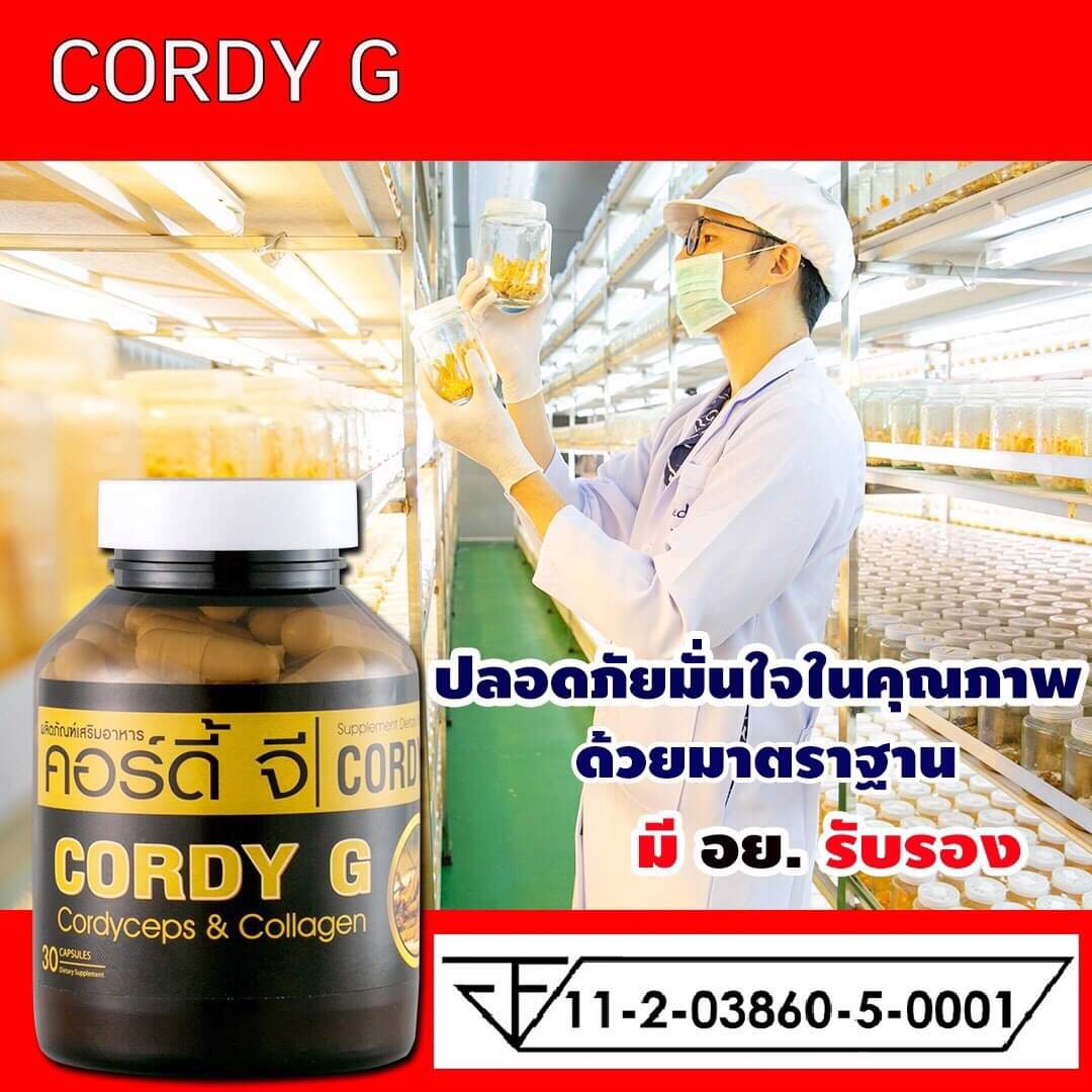 Cordy G คอดี้ จี ถังเช่าสกัด บำรุงสุขภาพ