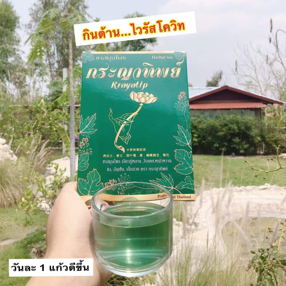 ชา สมุนไพร กระญาทิพย์ krayatip tea