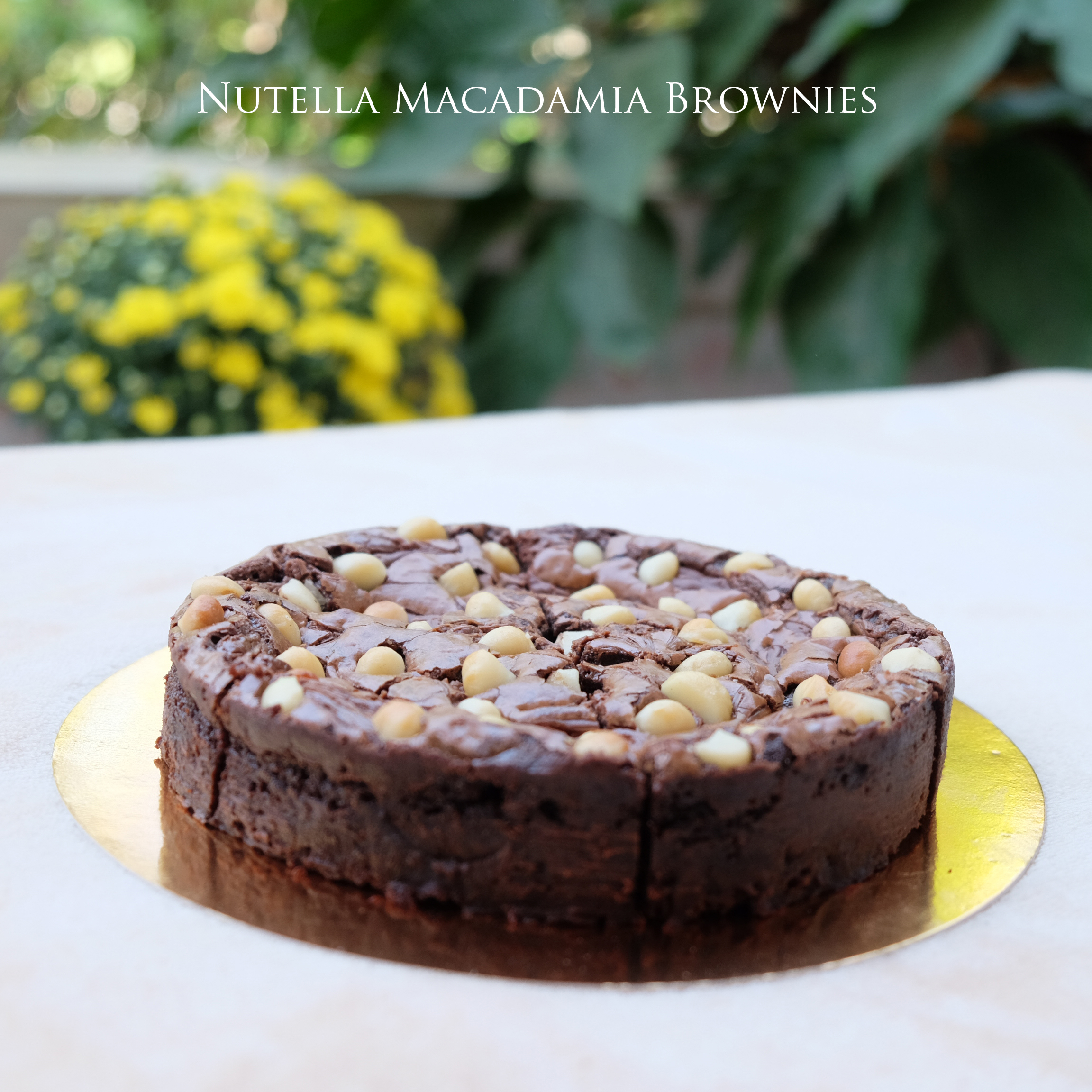 เค้กนูลเทลล่าแมคคาเดเมียบราวนี่ (ขนาด 1 ปอนด์) / Nutella Macadamia Brownies Cake (1 Pound / 6'' x 6")
