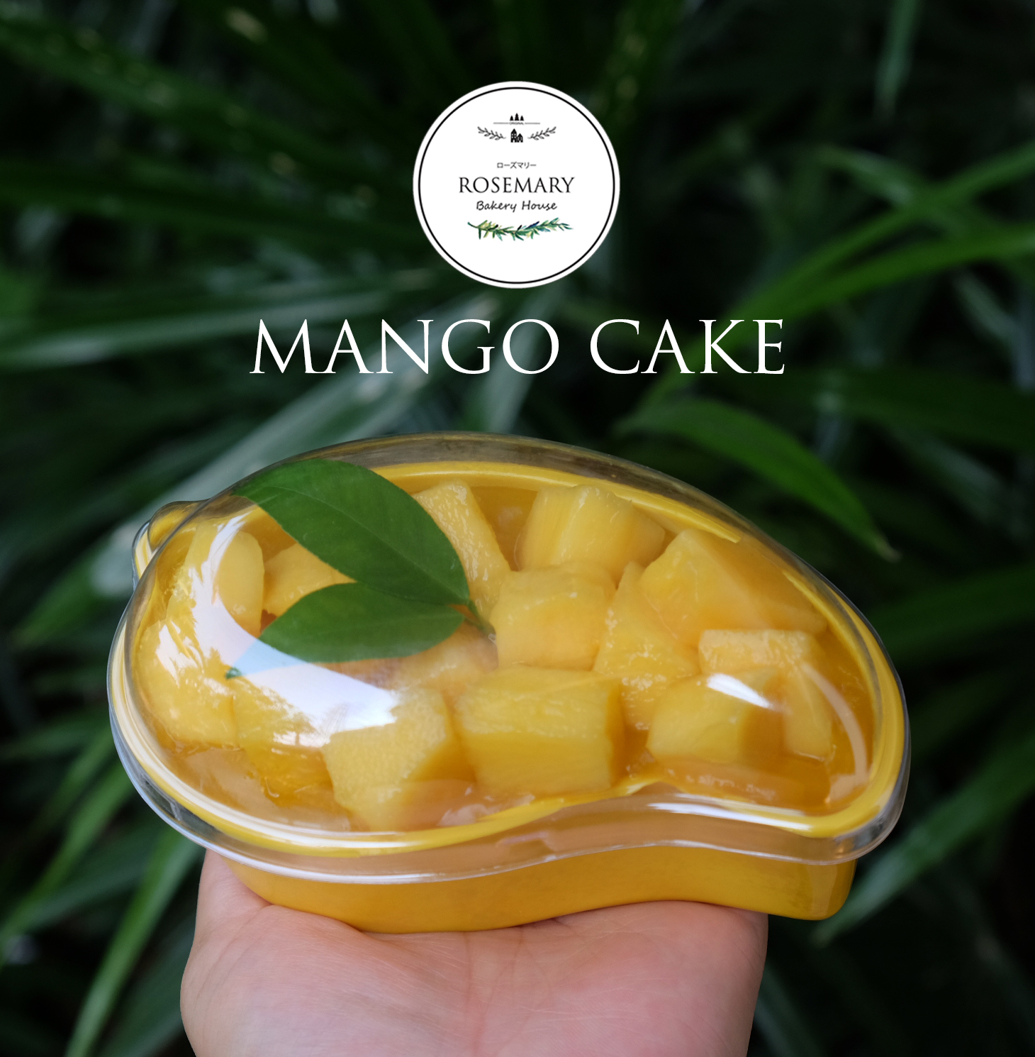 🥭🥭เค้กลูกมะม่วง Mango Cake 🥭🥭 (สั่ง 2 กล่อง ถูกกว่า)