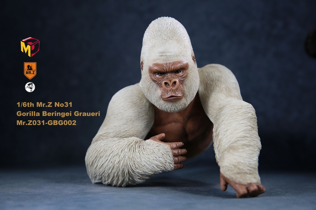 Mr.Z MRZ031 1/6 Animal Model - Gorilla Beringei Graueri