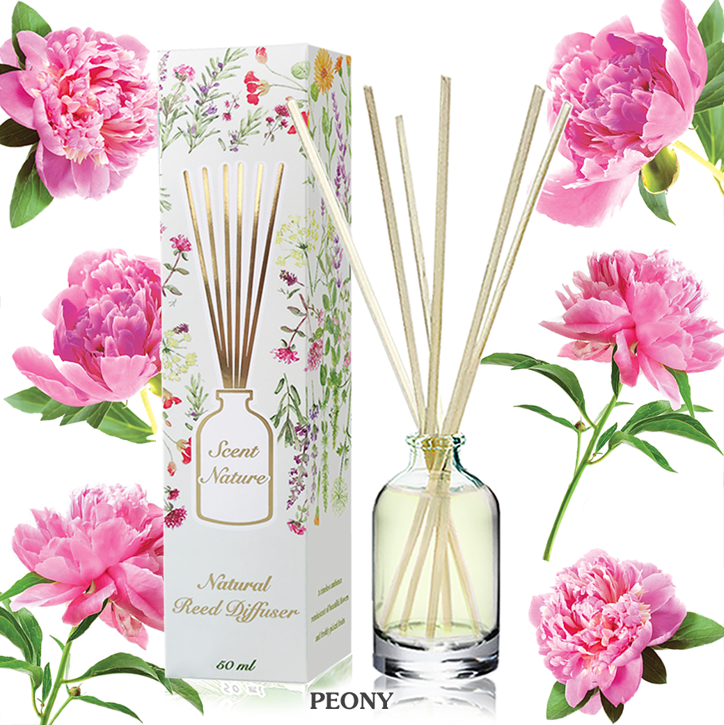 PEONY ดอกพีโอนี่