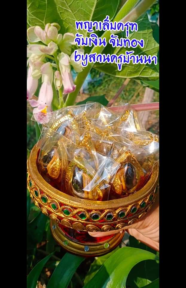 จี้พญาเล็บครุฑ หรือ จับเงิน จับทอง จี้ พญาเล็บครุฑ สวนครูบ้านนา