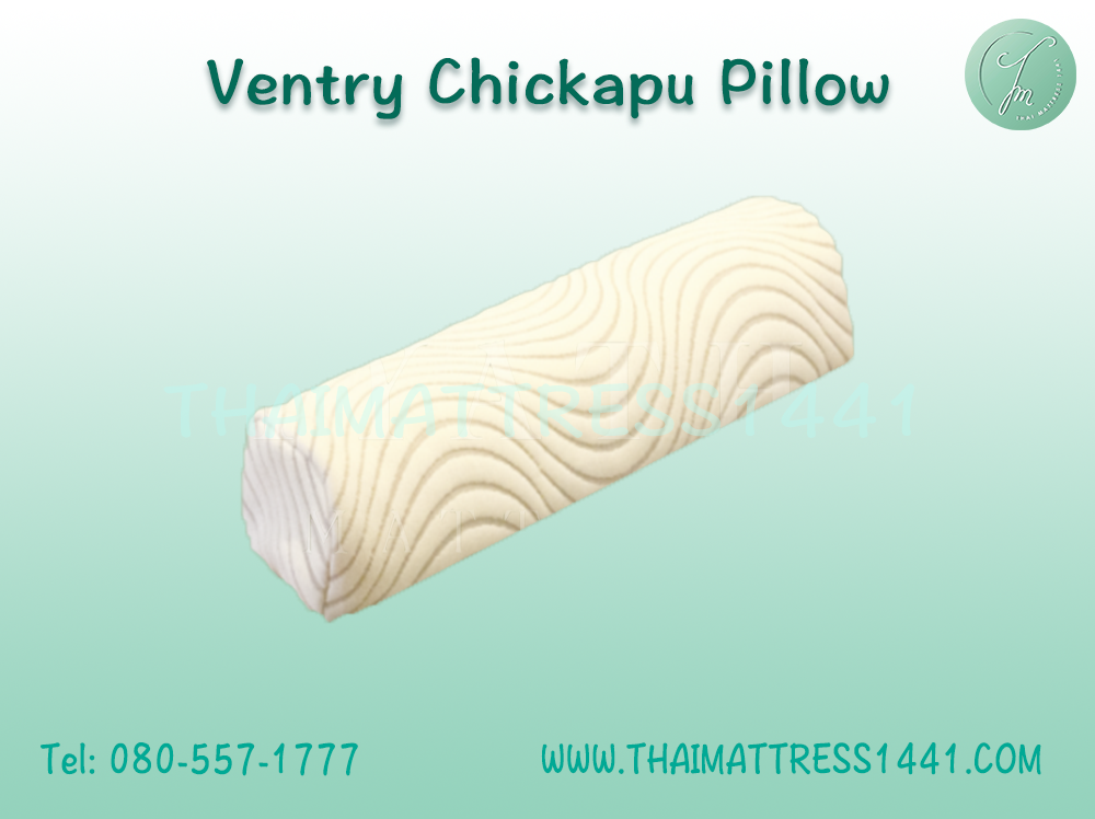 หมอนยางพารา Ventry Chickapu Pillow