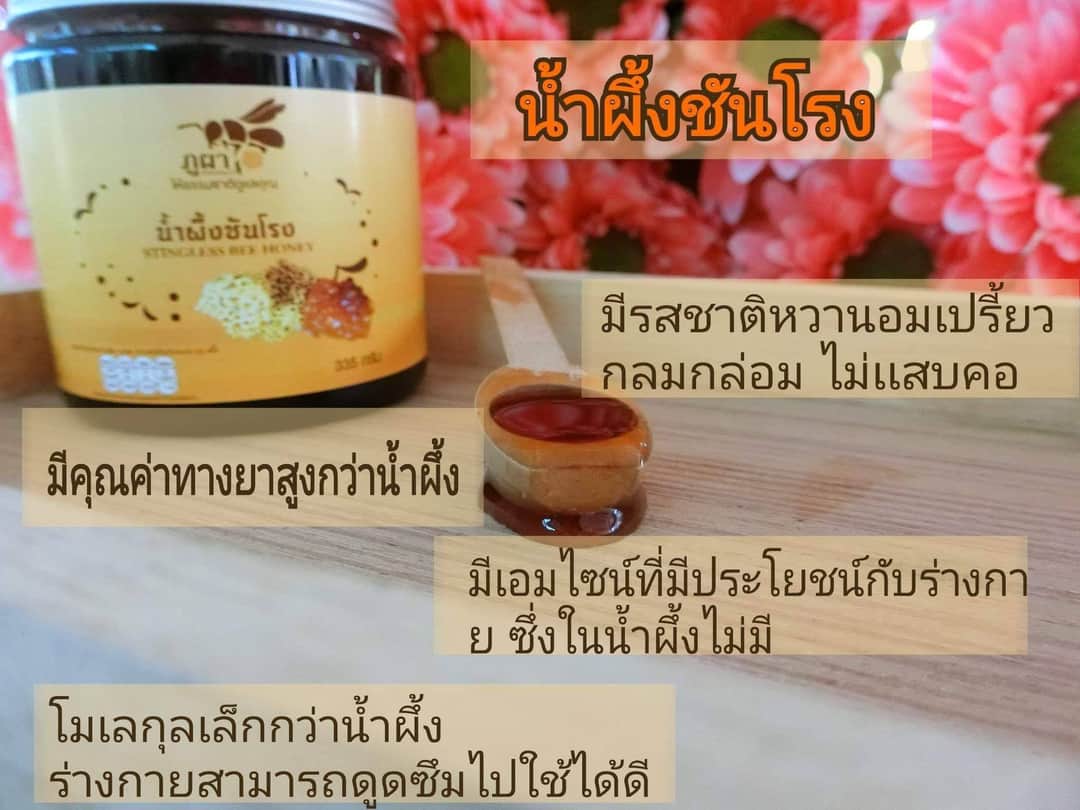 น้ำผึ้งชันโรง มาจากฟาร์มเลี้ยงโดยตรง น้ำผึ้ง ภูผา ชันโรง phupha