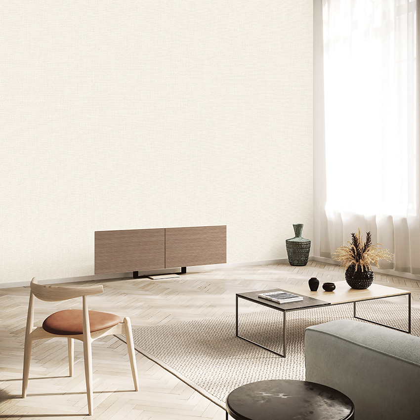 BASIC+ LIMITED Collection