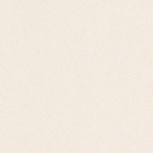 Bestie 2025 - BW Collection ลายมินิมอล