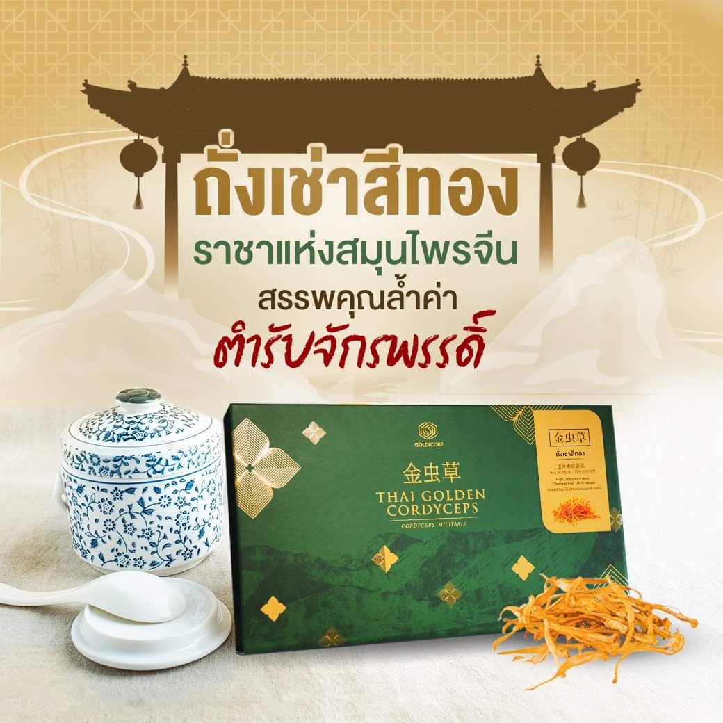 ถั่งเช่าสีทอง goldicore บำรุงสุขภาพ ถั่งเช่า