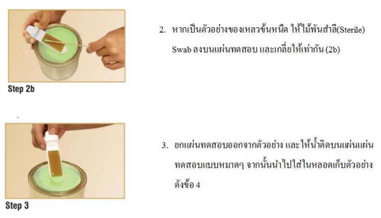 ชุดทดสอบเชื้อแบคทีเรีย เชื้อรา(10ชุด/กล่อง) Bacteria and Fungi Test kit-B-F INDICATOR