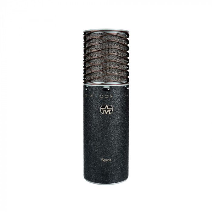 Aston Spirit Black Bundle ชุดไมโครโฟนพร้อมชุดจับและแผ่นกรอง