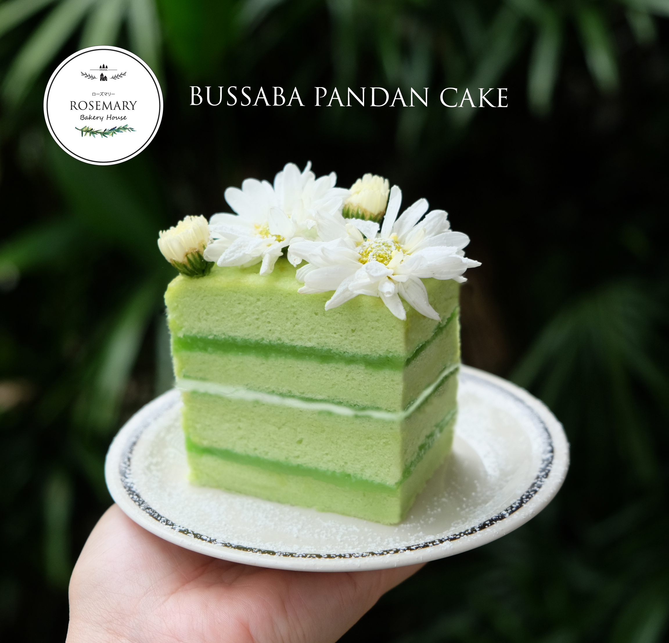 เค้กใบเตย (เค้กชิ้น) 4 ชั้น / Pandan Cake 4 Layers
