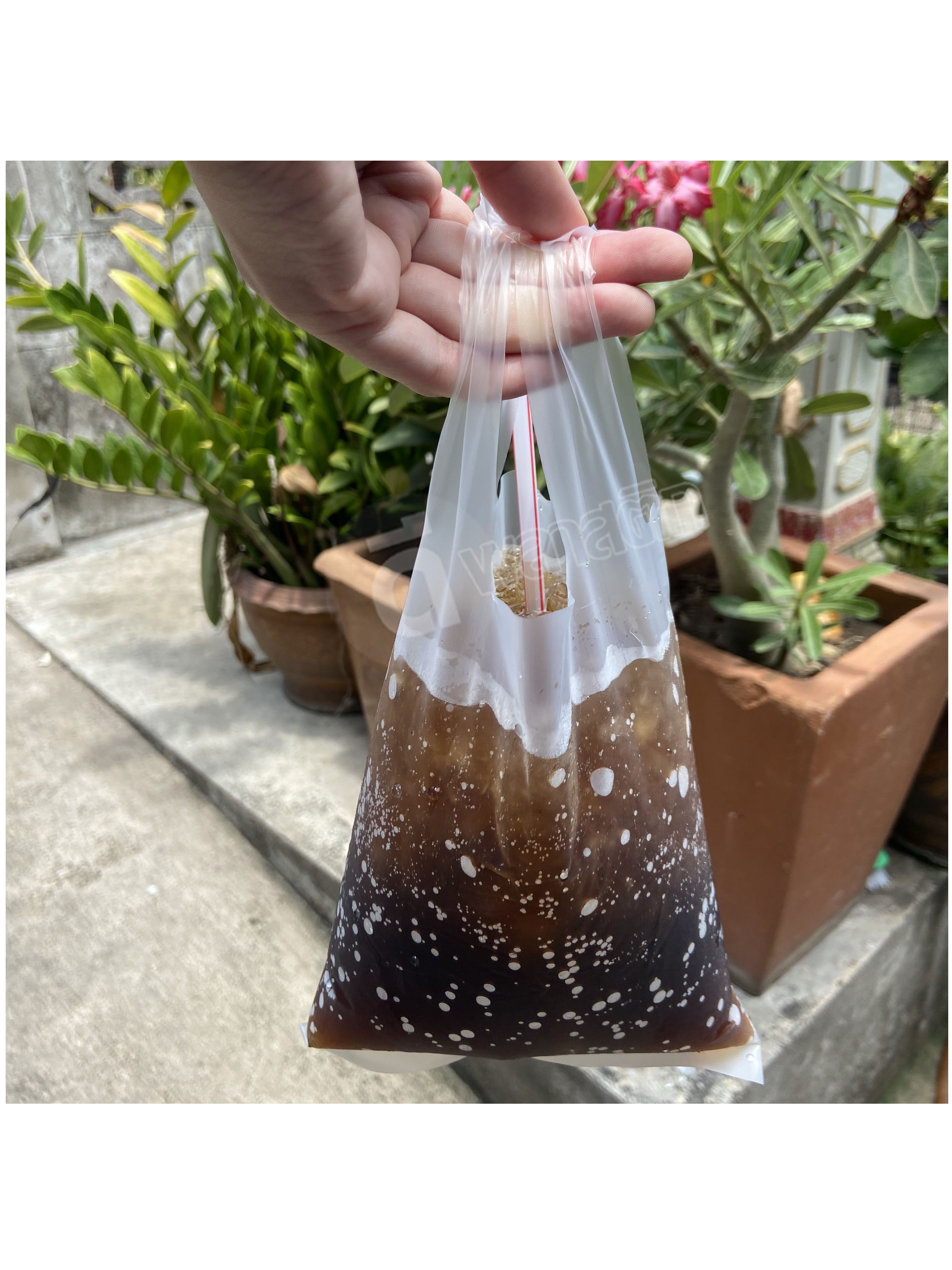 ถุงหิ้วน้ำดื่ม HD ใส่อาหารคาวหวาน 5 x 9 นิ้ว : 500 กรัม/แพ็ค