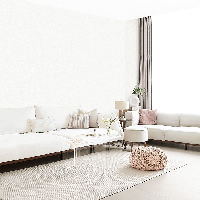 BASIC+ LIMITED Collection