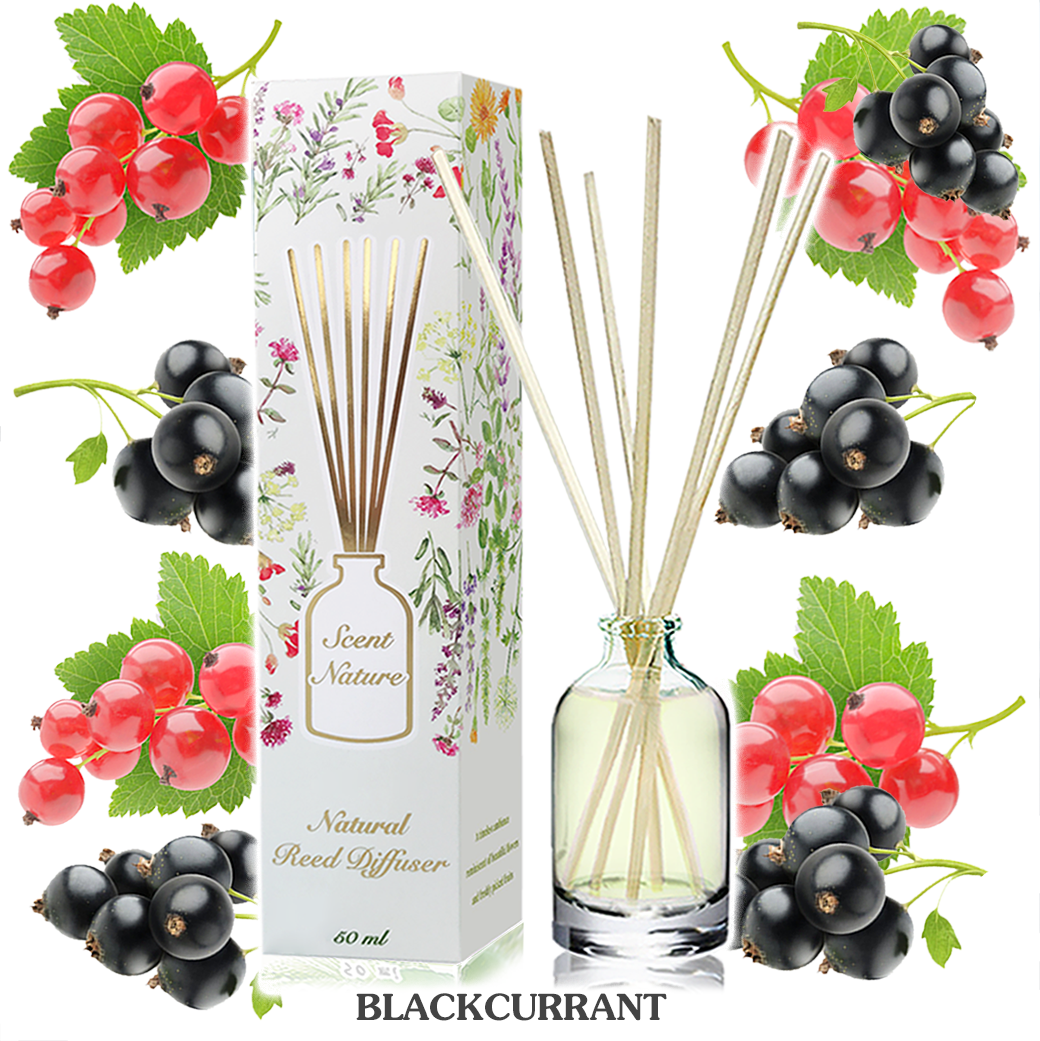 BLACKCURRANT แบล็คเคอแรนท์