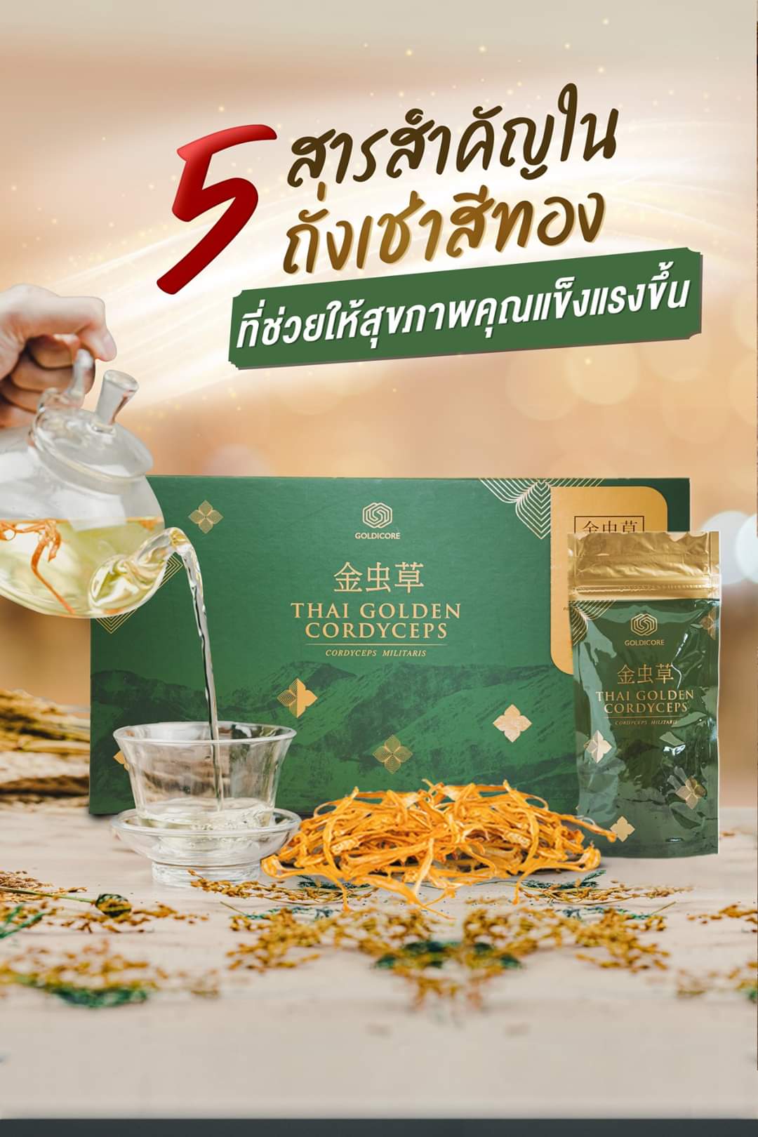 ถั่งเช่าสีทอง goldicore บำรุงสุขภาพ ถั่งเช่า